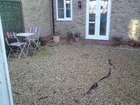 View The Small New Build Garden Album